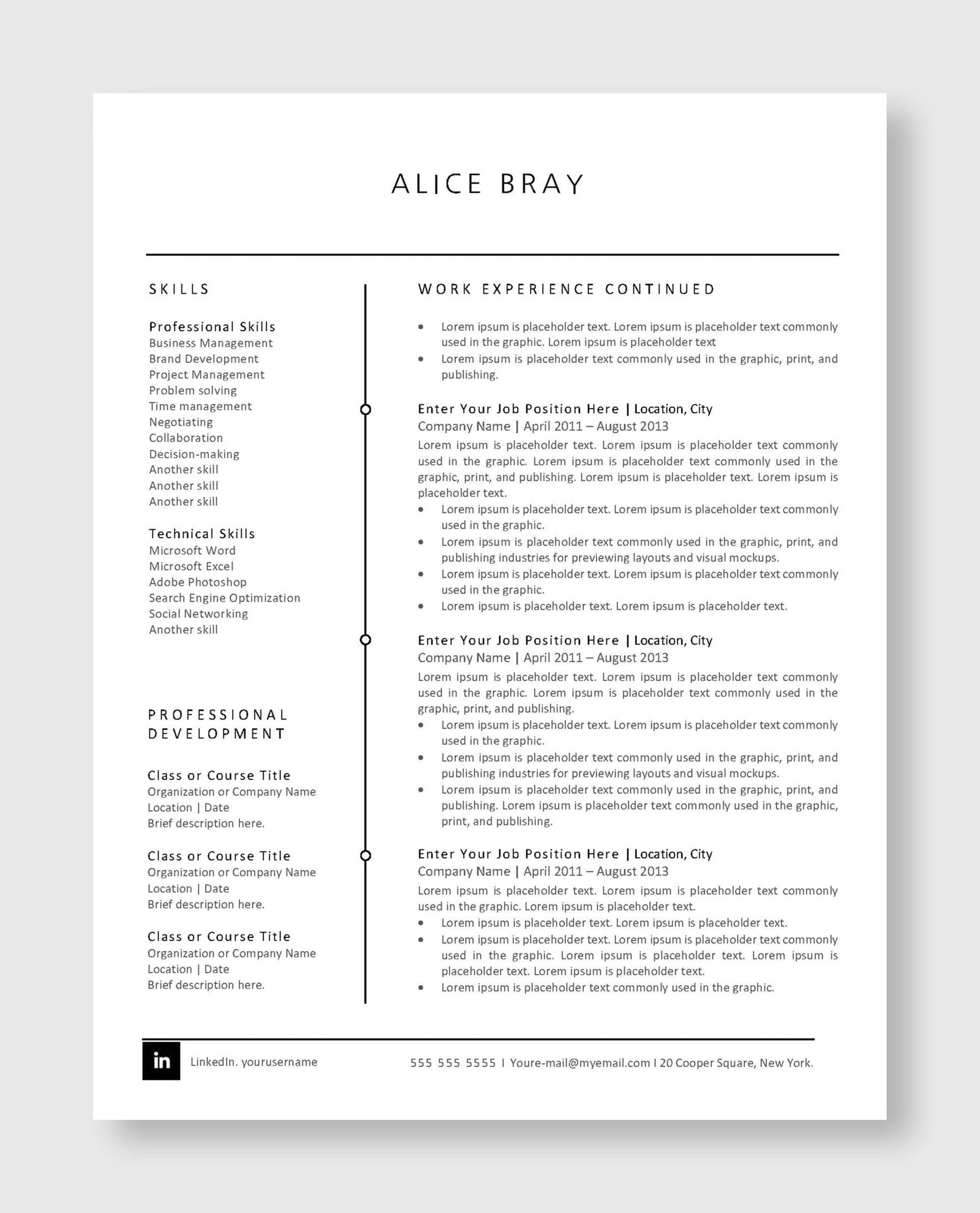 Professional Resume Template 4 - Image 3
