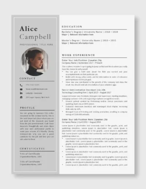 Professional Resume Template 5