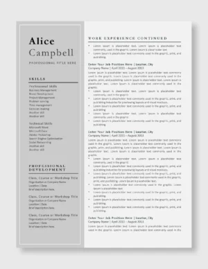 Professional Resume Template 5