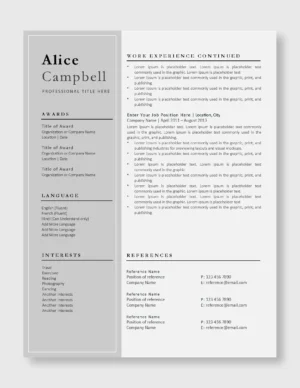 Professional Resume Template 5