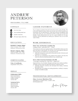 Professional Resume Template 6
