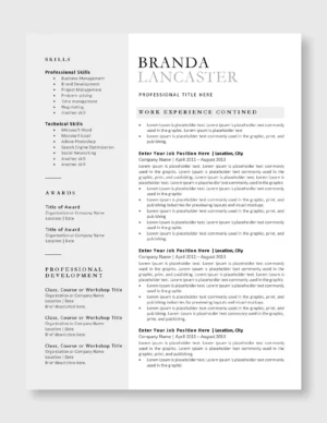 Professional Resume Template 7