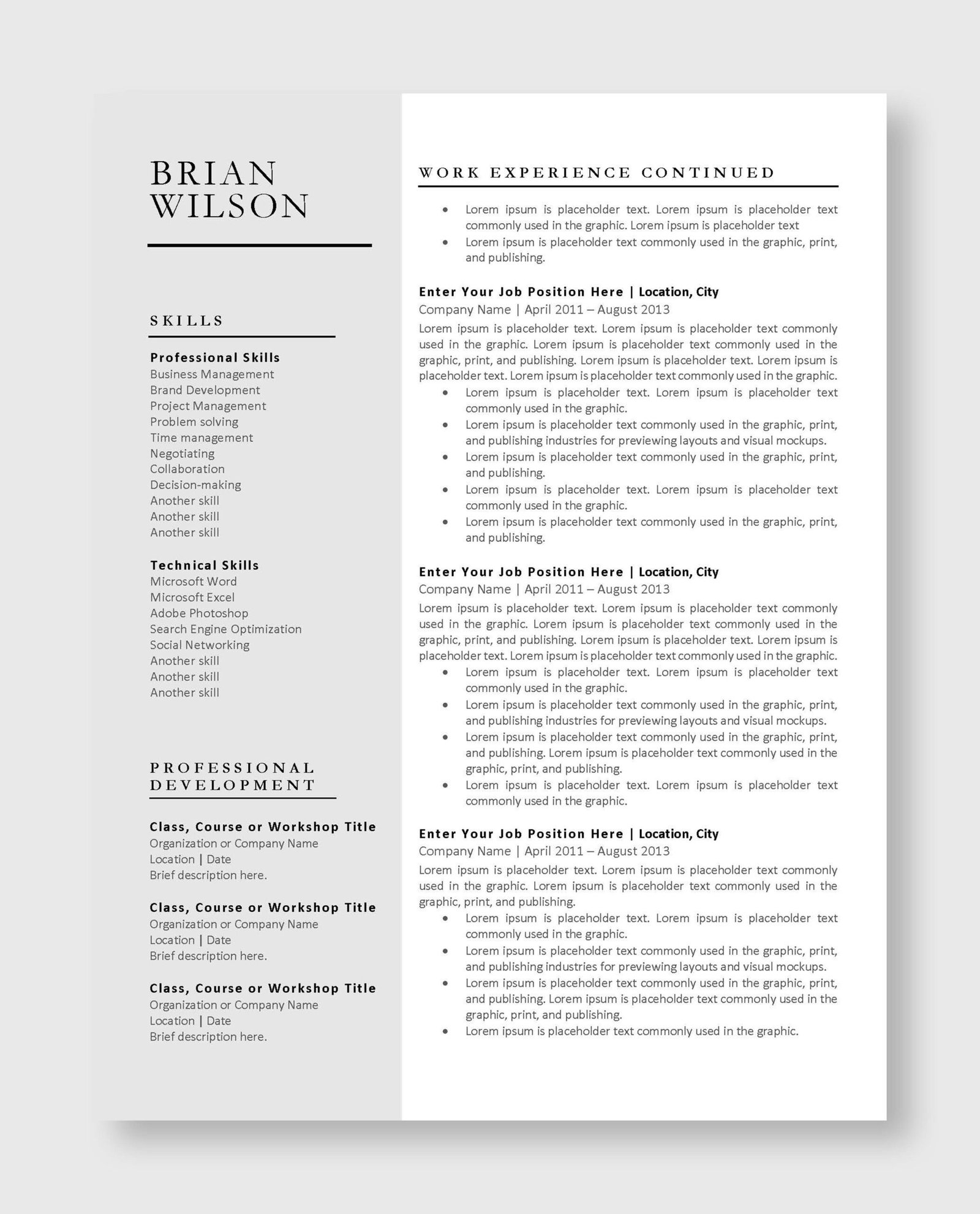 Professional Resume Template 8 - Image 3