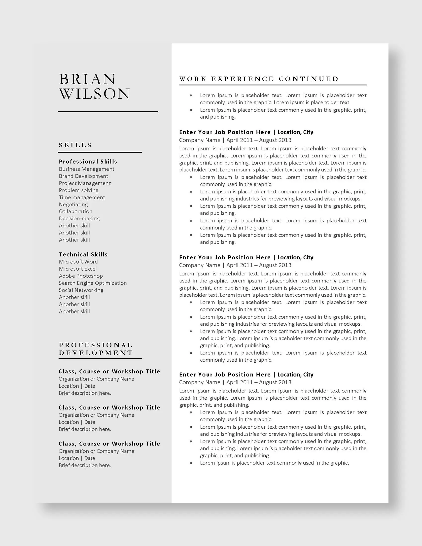 Brian_Wilson_Professional_US_3Page_Resume_template_Page_3_Page_2