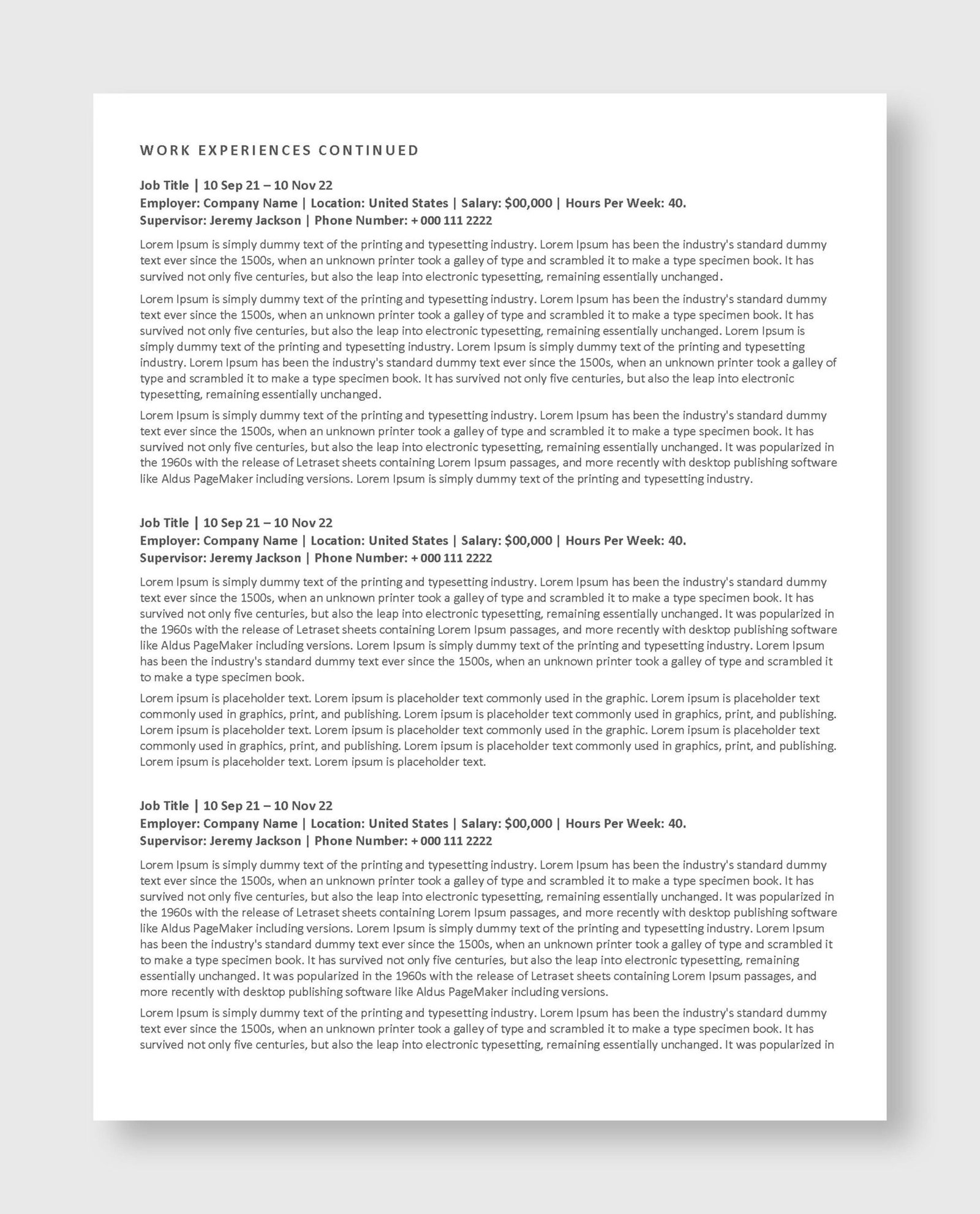 Federal Resume Template 5 - Image 4