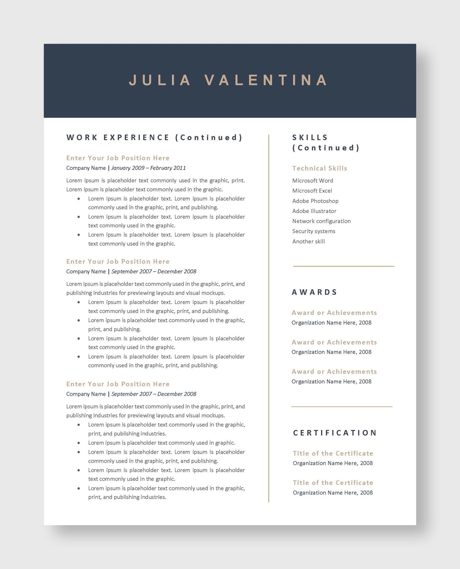Professional Resume Template 3 - Image 3