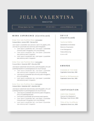 Teacher Resume Template 5
