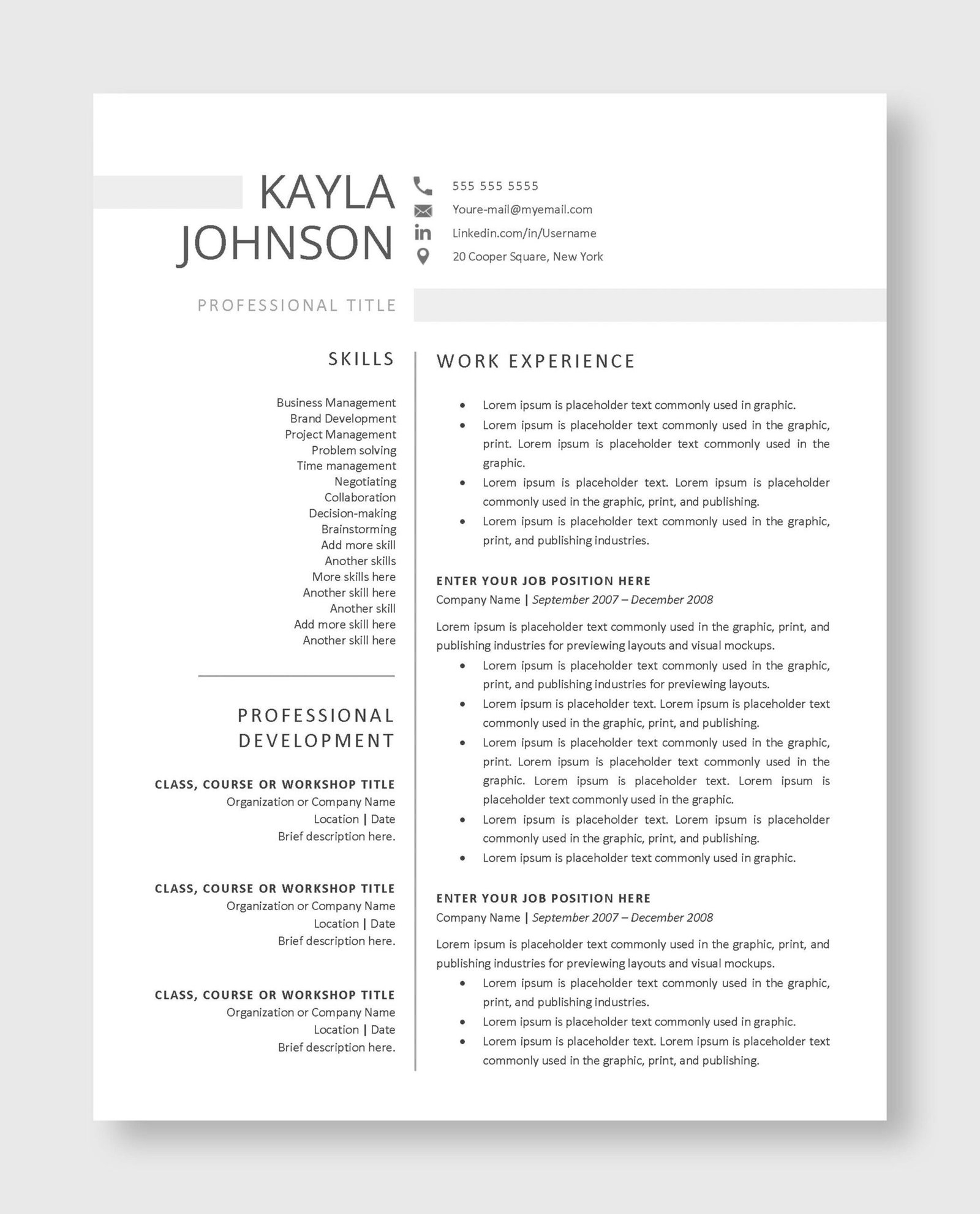 Professional Resume Template 2 - Image 3