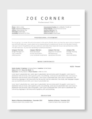 Federal Resume Template 7