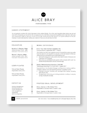 Professional Resume Template 4