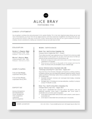 Professional Resume Template 4