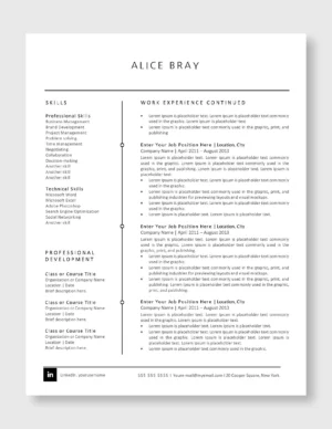 Professional Resume Template 4