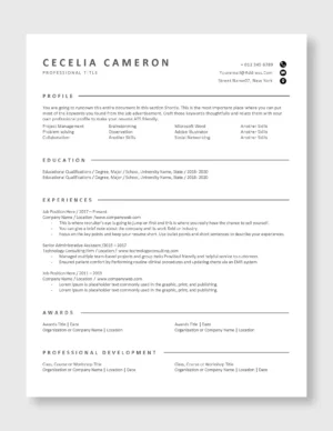 ATS Resume Template 3
