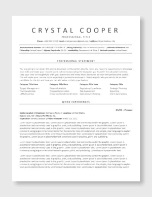 Federal Resume Template 2