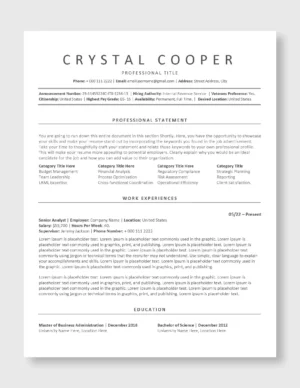 Federal Resume Template 2