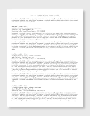 Federal Resume Template 6