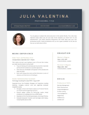 Professional Resume Template 3