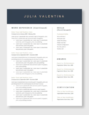 Professional Resume Template 3