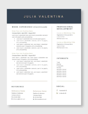 Professional Resume Template 3