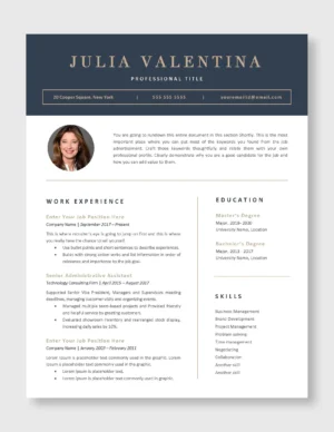 Professional Resume Template 3