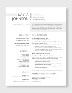 Professional Resume Template 2