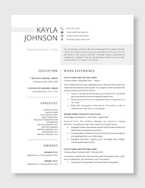Professional Resume Template 2