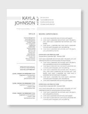 Professional Resume Template 2