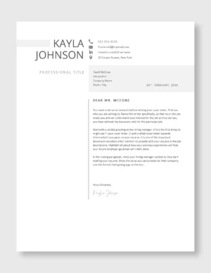 Professional Resume Template 2