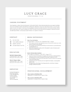 Professional Resume Template 1