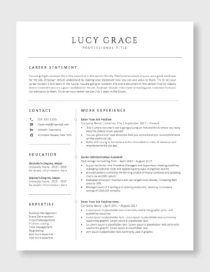 Professional Resume Template 1