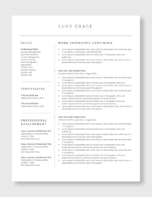 Professional Resume Template 1