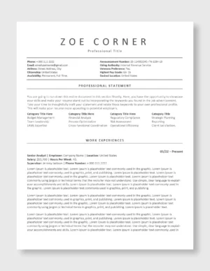 Federal Resume Template 7