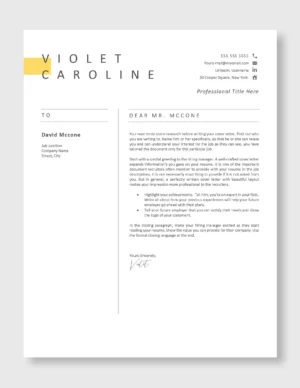 Creative Resume Template | Designers & Artists – Word & Pages